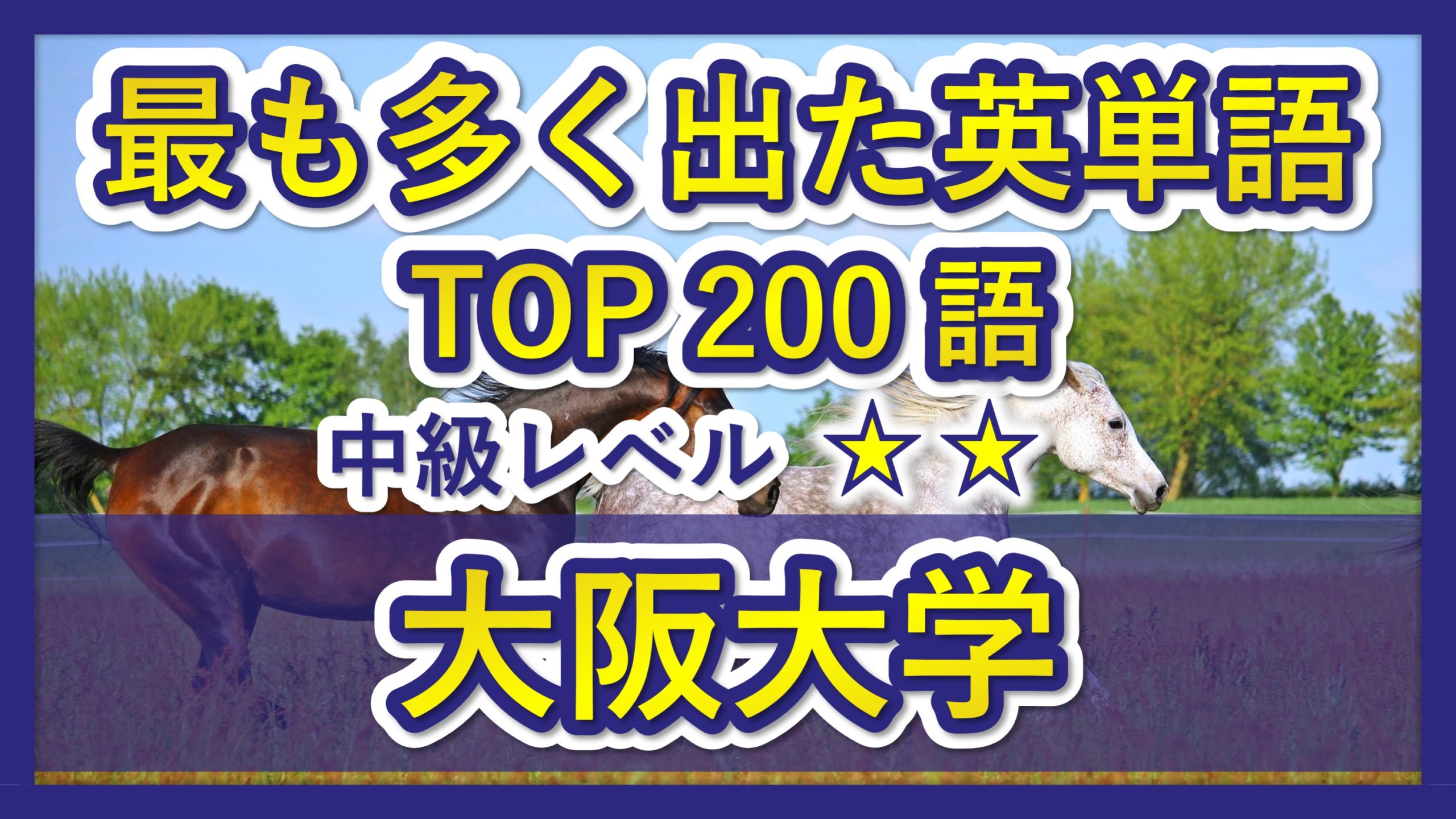 大阪大学】過去最も多く出た中級英単語TOP200（2023年度入試版 